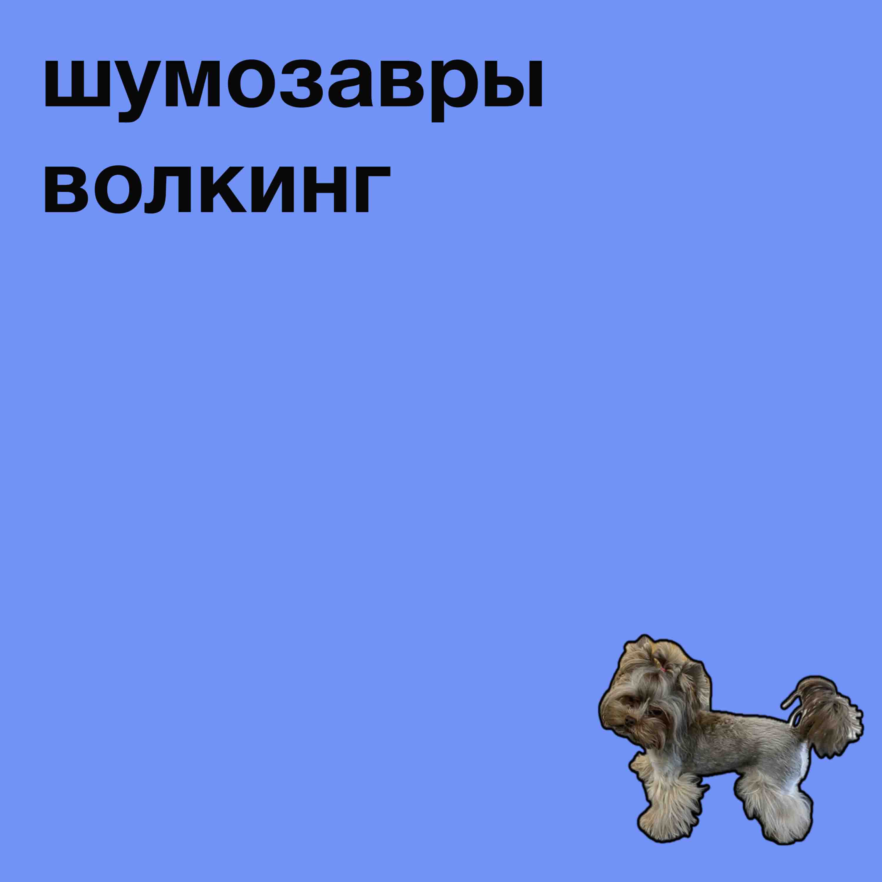 группа шумозавры шмзвр shmzvr 2024 spotify ЕПИ apple music яндекс инди рок